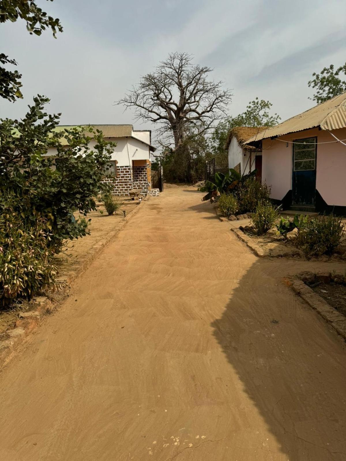 Camping Sitaba Lodge Georgetown المظهر الخارجي الصورة