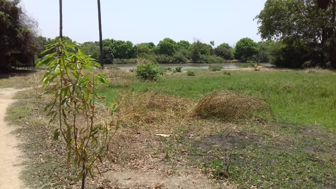 Camping Sitaba Lodge Georgetown المظهر الخارجي الصورة