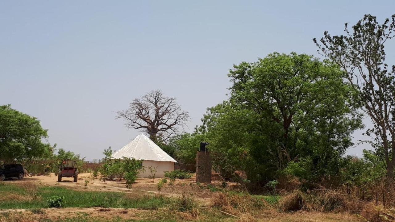Camping Sitaba Lodge Georgetown المظهر الخارجي الصورة
