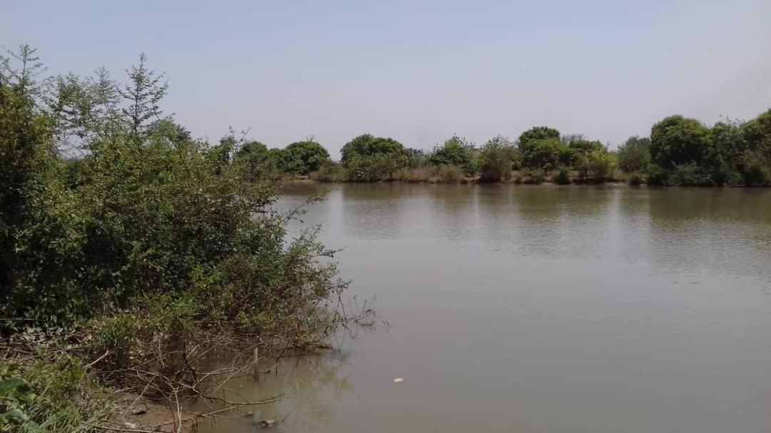 Camping Sitaba Lodge Georgetown المظهر الخارجي الصورة