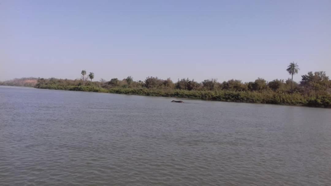 Camping Sitaba Lodge Georgetown المظهر الخارجي الصورة